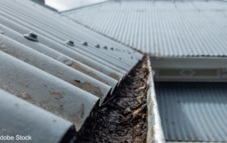 Photo of an old metal roof. Its gutters are clogged with leaves and mulch. The weather is damp and autumnal. © Adobe Stock
