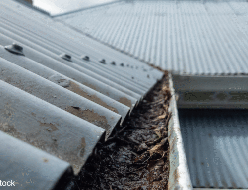 Seven roof care tips for autumn
